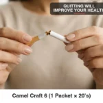 Camel Craft 6 (1 Packet × 20’s)