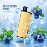 Alibarbar Ingot 9000 Puffs Blueberry Mint