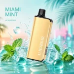 Alibarbar Ingot 9000 Puffs Miami Mint