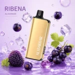 Alibarbar Ingot 9000 Puffs Ribena