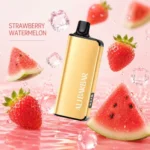 Alibarbar Ingot 9000 Puffs Strawberry Watermelon