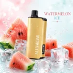 Alibarbar Ingot 9000 Puffs Watermelon Ice