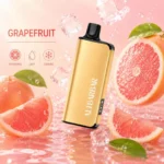 Alibarbar Ingot 9000 Puffs Wtf (grapefruit)