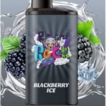 IGET Bar Pro 10000 Puffs Blackberry Ice