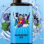IGET Bar Pro 10000 Puffs Blueberry Ice