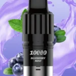 IGET S3 Pod 10000 Puffs Blueberry Mint