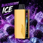 JNR Cruiser 12000 Puffs Blackberry Ice