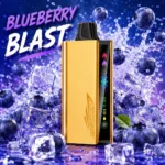 JNR Cruiser 12000 Puffs Blueberry Blast