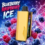 JNR Cruiser 12000 Puffs Blueberry Raspberry Ice