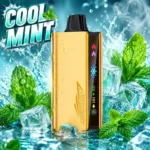 JNR Cruiser 12000 Puffs Cool Mint