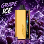 JNR Cruiser 12000 Puffs Grape Ice