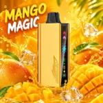JNR Cruiser 12000 Puffs Mango Magic