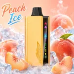 JNR Cruiser 12000 Puffs Peach Ice