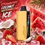 JNR Cruiser 12000 Puffs Strawberry Coconut Watermelon