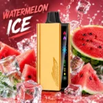 JNR Cruiser 12000 Puffs Watermelon Ice