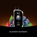 KUZ Nova 16000 Puffs Blueberry Raspberry