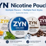 ZYN Summer High-mg Ice Pack (5 Cans | 15mg–24mg)