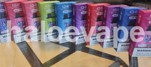 IGET Bar Pro 10000 Puffs 10-Pack Wholesale Carton