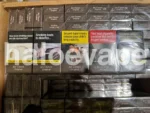 Winfield Original Classic carton stack carton real stock photo - Halo E-Vape Australia warehouse