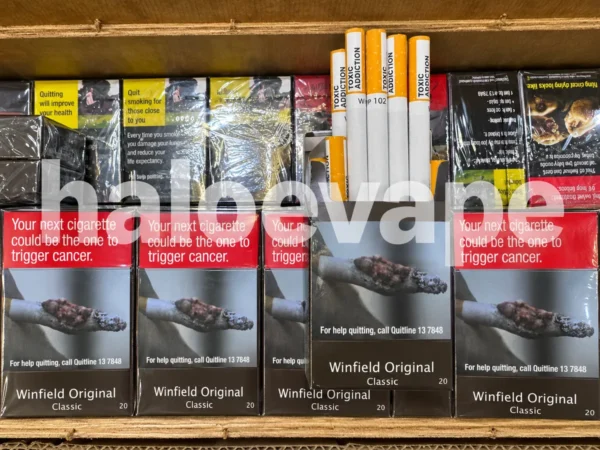 Winfield Original Classic carton real stock photo - Halo E-Vape Australia warehouse